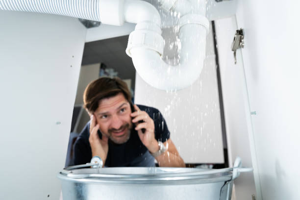 Best Sewer Line Repair  in Iceville, AL